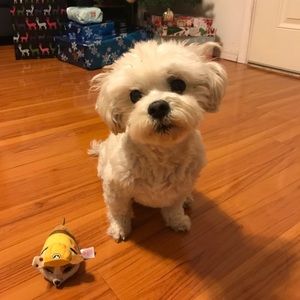 Meet your Posher, Natalie